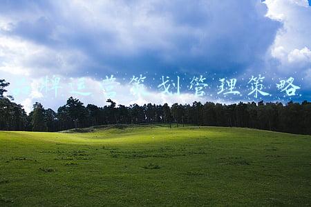 品牌策划与管理(品牌策划之品牌战略打法)