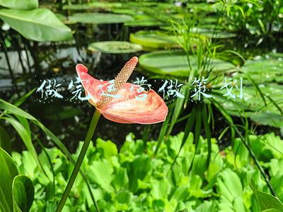 做完包皮手术后流脓(“割包皮”风气兴起，儿科患者排队做手术，医生：割包皮割到想吐)