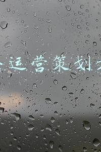 车贷运营策划方案