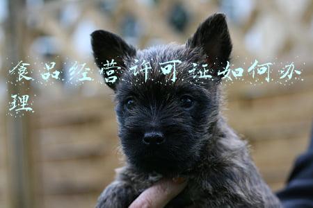 预包装食品经营许可证《预包装食品经营许可证办理流程》