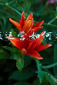 短视频运营如何看数据