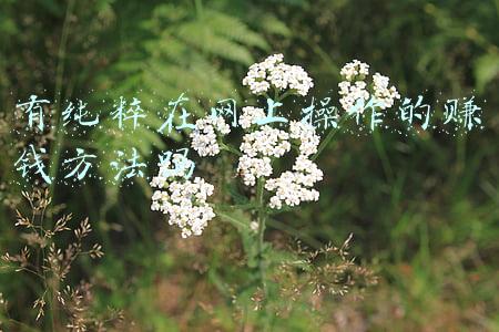 拉网机操作方法(池塘捕鱼的拉网、抬网、撒网三种方法简介)