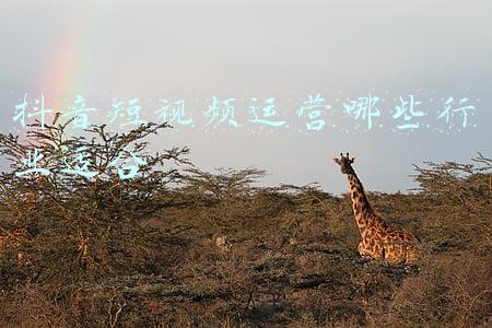 抖音运营主要做什么(抖音短视频运营具体是哪些内容？)