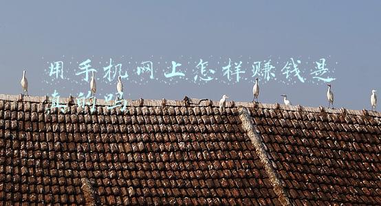 网上手机赚钱靠谱吗(手机网上兼职真的靠谱？)