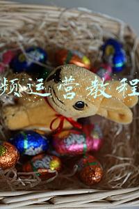 短视频广告制作(短视频广告素材及拍摄技巧)