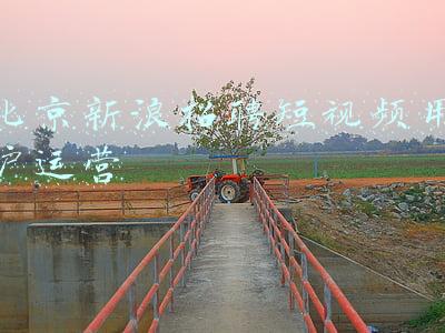 北京老股民新浪博客(名博预测午后走势)