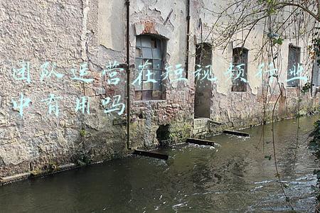 团队运营在短视频行业中有用吗