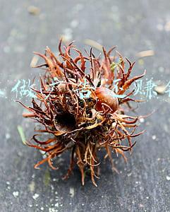 广告赚钱网(做自媒体赚钱？这些自媒体广告交易平台的海量广告主等你来接单)