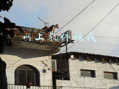 网上软件赚钱属不属于传销(别当“赚钱”App是“散财童子”)