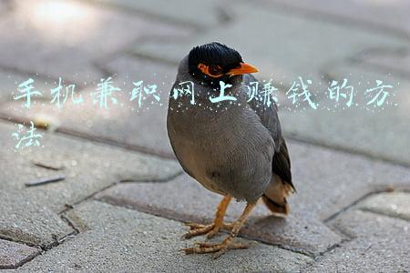 手机微信赚钱方法(如何利用微信赚钱？提供几种赚现金的方法，每种都可月收入上万)