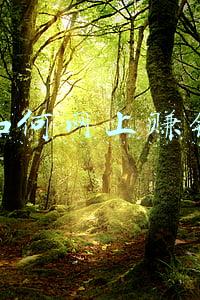 如何网上赚钱