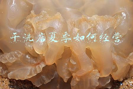 干洗店如何经营 干洗店如何经营?记住这2点就能快速回本