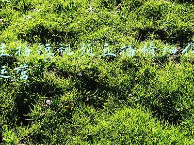 女主播直播视频挤奶头(36岁女星直播生子，赤身出镜引群嘲：你生孩子的样子，真丑)