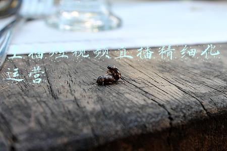 韩国主播vip直播视频(《我独自生活》播出七周年纪念 彩虹会员YouTube直播与观众互动)