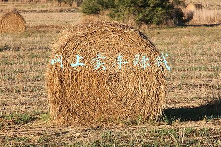 卖二手车赚钱(雁过拔毛，开票赚钱——国务院大督查聚焦二手车交易乱象)