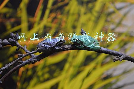 网上看书赚钱神器