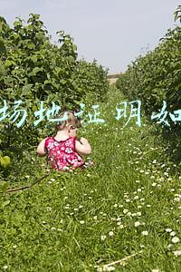 场地经营证明怎么写《经营场地证明需要什么资料》