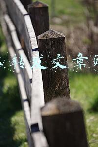 网上转发文章赚钱平台别人需要怎么看(头条转发别人的优秀视频和文章可以可以赚钱吗？)