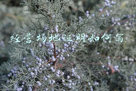 经营场地证明范本 场地经营证明怎么写