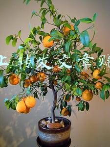转发文章赚钱平台(分享5个靠谱的，转发文章就能赚取佣金的平台)