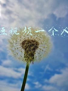 法妞 短视频运营(股权转让中，股权出让方向目标公司的借款债权如何实现)