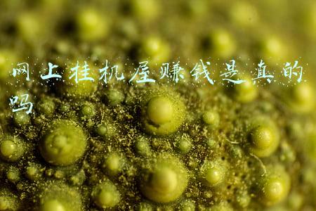 挂机屋(几款真正做到解放双手的挂机放置游戏，让你的肝和手，极致放松)