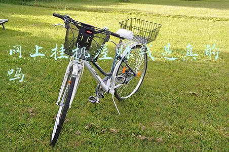 网上挂机屋赚钱是真的吗