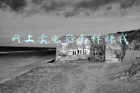 网上买电脑哪个网站好(知道这11个网站，不愁找不到电子书，收藏了)