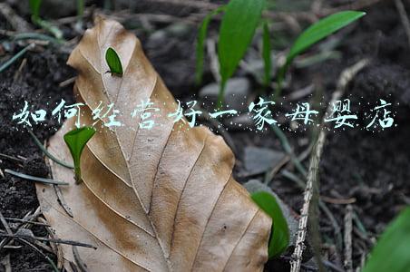 如何让母婴店生意好起来-母婴店怎么经营思路