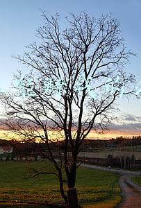 网上商城管理办法(我国首个网上商城采购操作规范来了！这个“团体标准”今起实施)