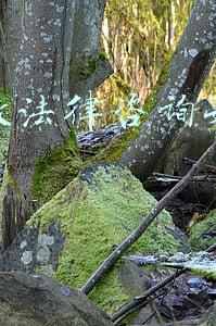 网上怎么咨询法律(一号通办！ “12368，有事您说话”)