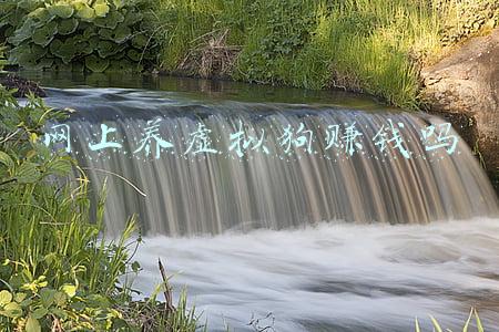 网上养虚拟狗赚钱吗