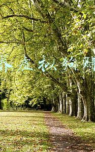 养狗游戏赚钱是真的吗(玩元宇宙游戏能“躺着赚钱”? 业内人士：警惕骗局)