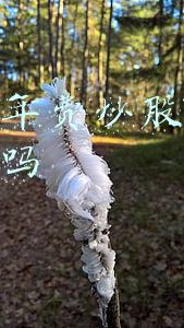 付费炒股群有用吗(「飓风2021」免费炒股课？群聊别乱加！男子进群炒股被骗12.8万)