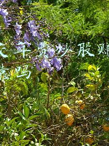 微信群炒股赚钱靠谱吗(女子进入“荐股”微信群，群内成员全是托，16天被骗140多万元)