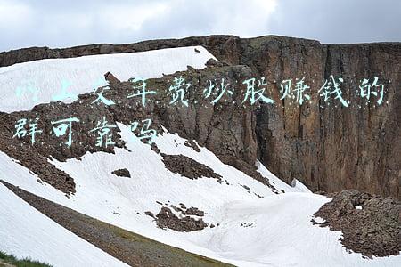 炒股交钱的群信得过吗(起底“荐股”骗局：老师、学员都是假的，只有你是“真韭菜”)