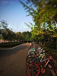 互联网养羊靠谱吗(什么是互联网养羊？众牧是如何赋能传统羊产业的？)