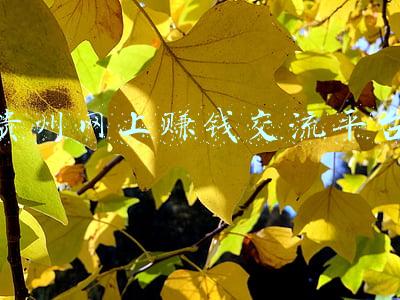 贵州大学学术交流中心(贵州大学2021年工作总结大会举行)