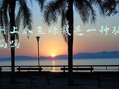 网络养鱼骗局(“有‘鱼’可以杀，谁想接后续？”诈骗已成产业链，受害者被轮番交易，男子一夜被骗5次30万元「网警转发」)
