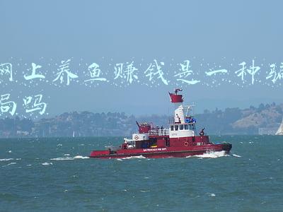 养鱼赚钱吗风险大吗(四大家鱼行情低迷，养殖户存塘量大，2019年水产养殖风险大吗？)