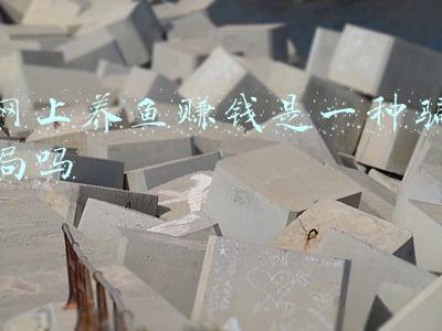 自己养鱼自己卖赚钱吗(小伙放弃学业回乡创业，水上养雁、水下养鱼，年销售额达1500万元)