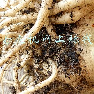 老虎机赚钱微信提现下载(查扣赌资1.6亿元，南通警方通报打击治理赌博“成绩单”)