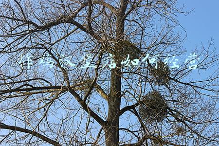 一般炸鸡汉堡店能赚钱吗-开炸鸡汉堡店赚钱吗