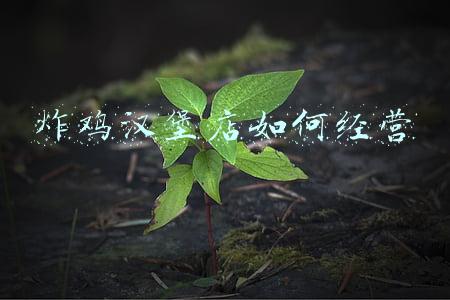 汉堡炸鸡店加盟费，汉堡炸鸡店加盟费多少