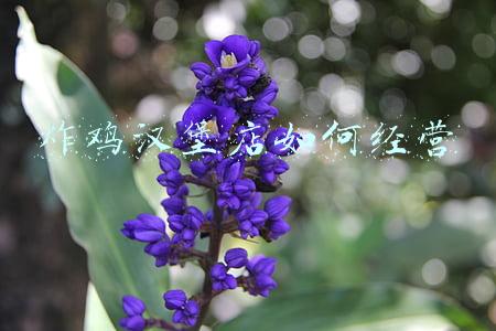 炸鸡汉堡店门头《炸鸡汉堡店门头效果图》