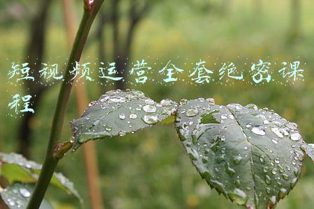 拼多多运营全套课程(拼多多商家进阶运营思路-手把手教你实现7天访客破万，日销1500+)