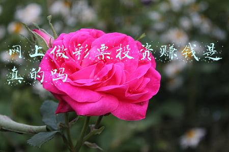 彩票网(500彩票网将公司中文名变更为“比特矿业”，交易代码变更为“BTCM”)