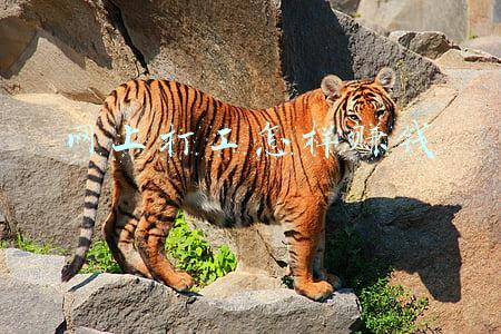 网上打工怎样赚钱