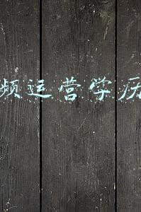 短视频运营学历分析