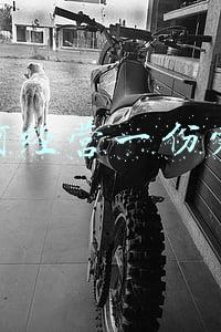 如何经营一份爱情 如何经营一份爱情